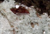 titanite from val nalps graubünden