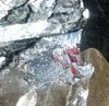 quartz, hematite, red routiles val cavradi GR 8x6x5cm 244g